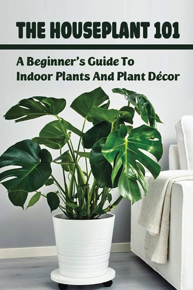 A Beginners Guide to Indoor Planters