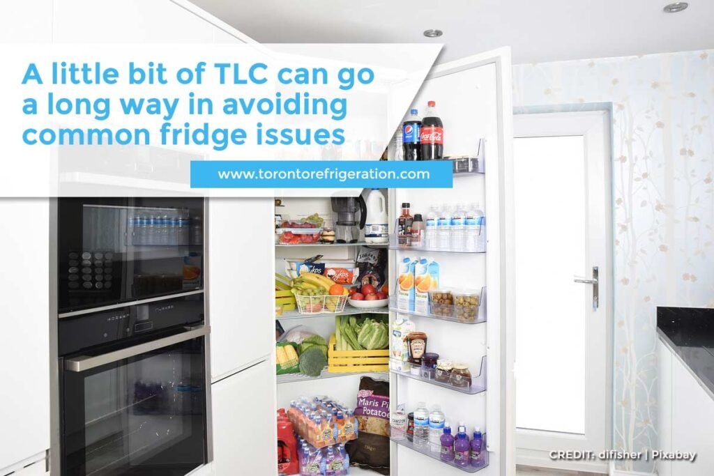 Tips to Prolong the Lifespan of Your Refrigerator