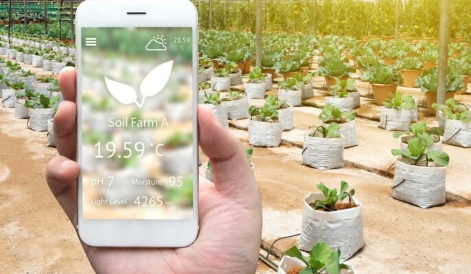 Understanding Smart Gardening and Connected Plant Sensors