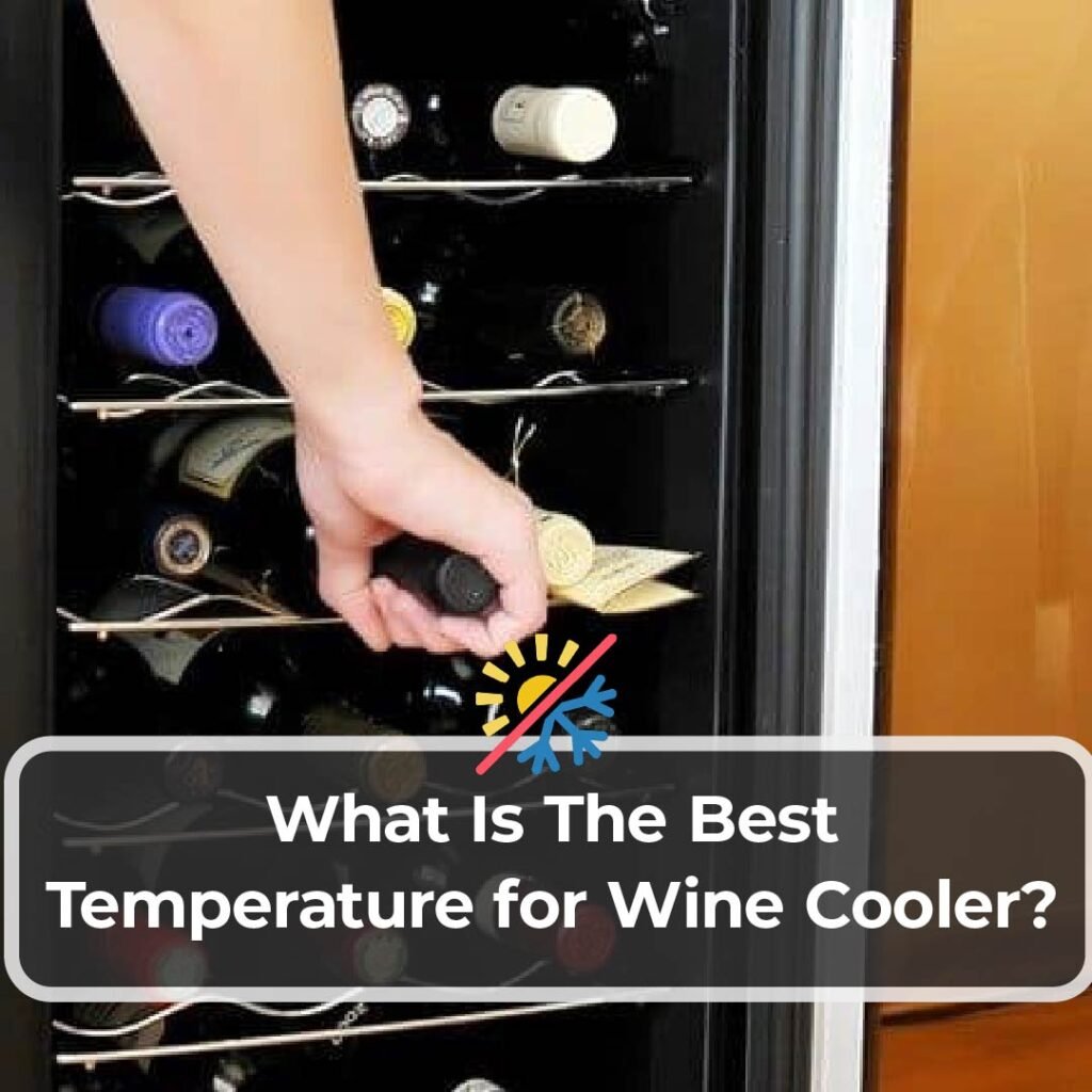 Tips for Maintaining Consistent Temperature in a Wine Cooler