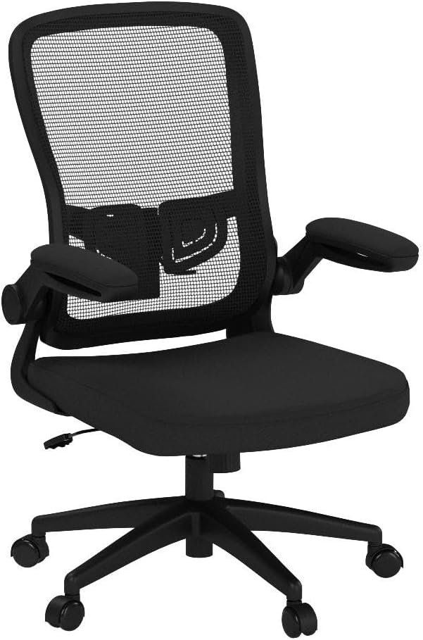 FelixKing Office Chair, Ergonomic Desk Chair with Adjustable Height and Lumbar Support Swivel Lumbar Support Desk Computer Chair with Flip up Armrests for Conference Room (Black)